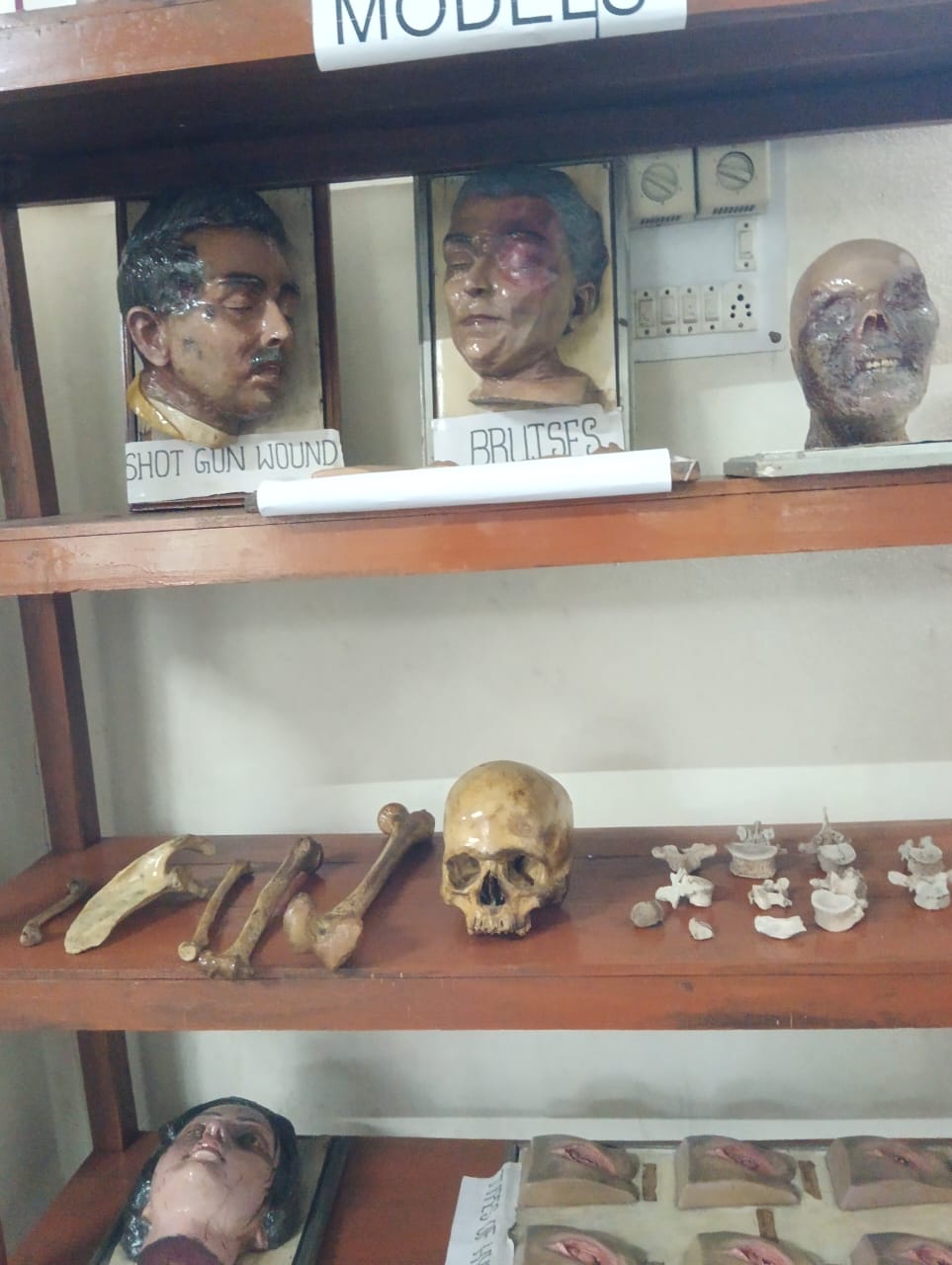 Forensic-Medicine